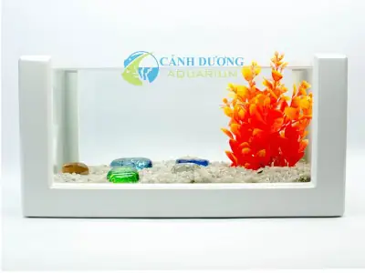 bể cá trong nhà đẹp