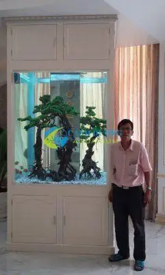 bể cá trong nhà đẹp