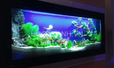 bể cá trong nhà đẹp