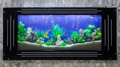 bể cá trong nhà đẹp