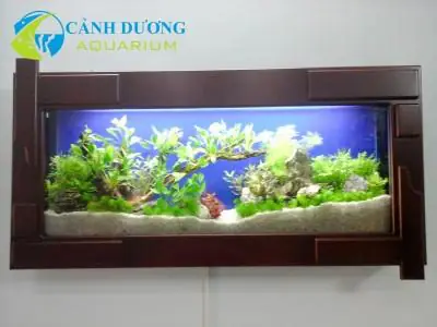 bể cá trong nhà đẹp