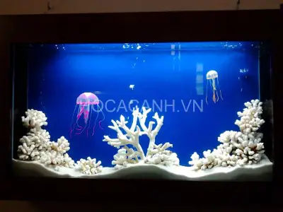 bể cá trong nhà đẹp