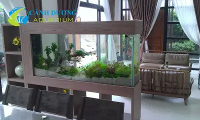 bể cá trong nhà đẹp