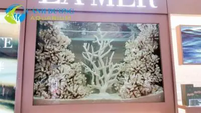 bể cá trong nhà đẹp