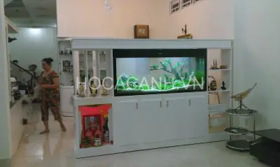 bể cá trong nhà đẹp