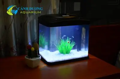 bể cá trong nhà đẹp