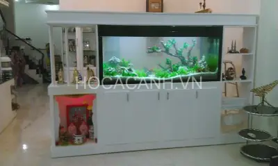 bể cá trong nhà đẹp