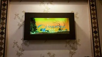 bể cá trong nhà đẹp