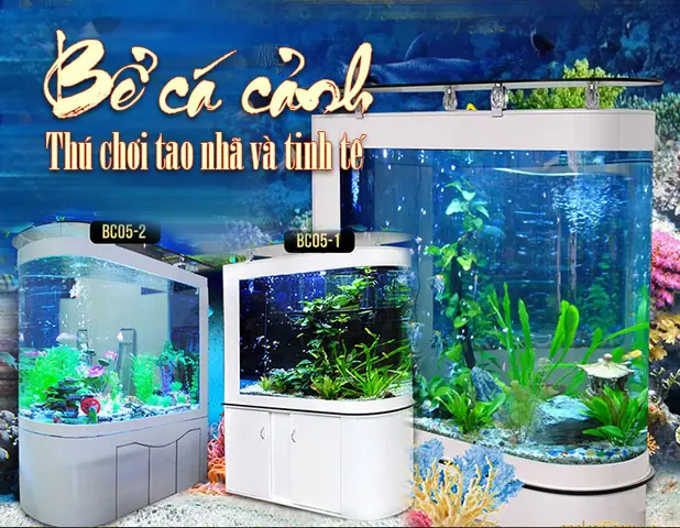 Hướng Dẫn Kết Hợp Bể Cá Và Hòn Non Bộ Đúng Chuẩn Phong Thủy