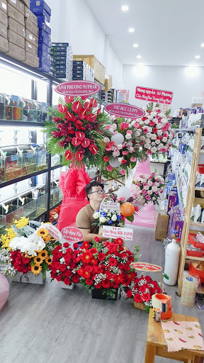 Bể cá với nhiều loại cây thủy sinh