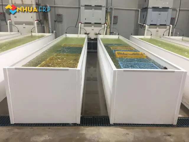 Bể Composite Nuôi Cá: Giải Pháp Tối Ưu Cho Nông Nghiệp Thủy Sản Hiện Đại