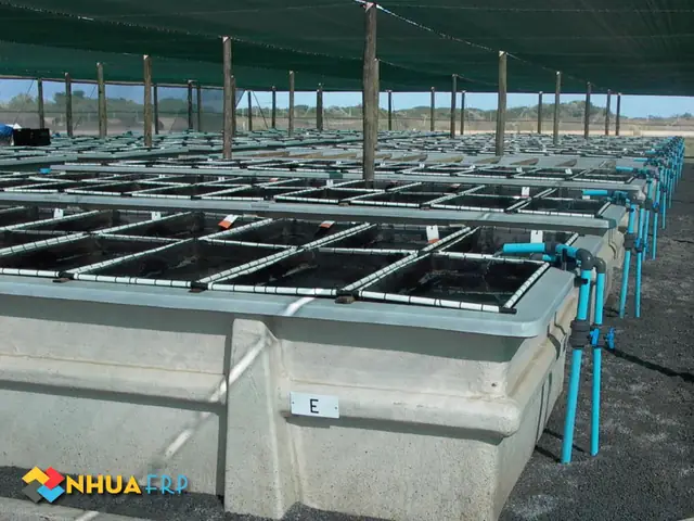 Bể Composite Nuôi Cá: Giải Pháp Tối Ưu Cho Nông Nghiệp Thủy Sản Hiện Đại