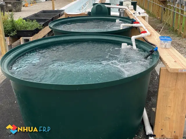 Bể Composite Nuôi Cá: Giải Pháp Tối Ưu Cho Nông Nghiệp Thủy Sản Hiện Đại