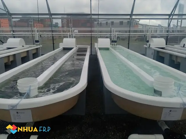 Bể Composite Nuôi Cá: Giải Pháp Tối Ưu Cho Nông Nghiệp Thủy Sản Hiện Đại