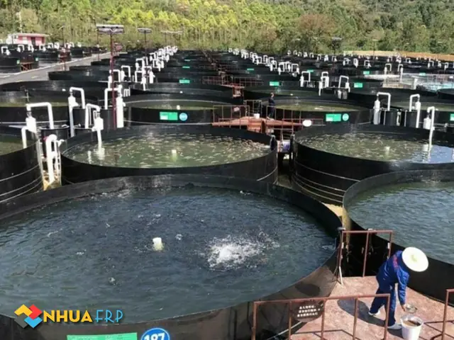 Bể Composite Nuôi Cá: Giải Pháp Tối Ưu Cho Nông Nghiệp Thủy Sản Hiện Đại