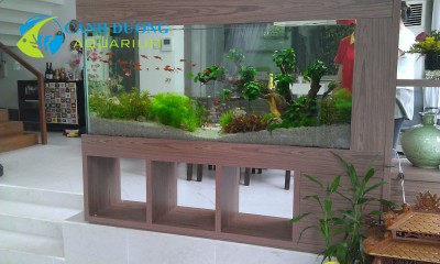 Bể thủy sinh 2014 với phong cách độc đáo