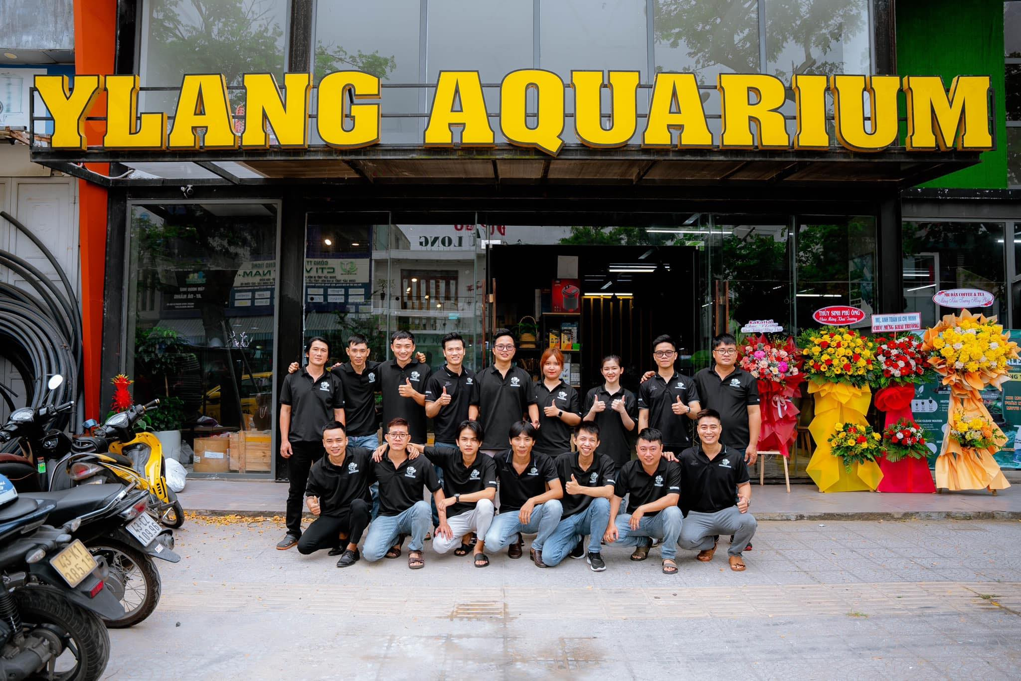 Bể thủy sinh đẹp tại Ylang Aquarium, Đà Nẵng