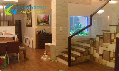 Bể thủy sinh với cây xanh và cá cảnh trong nhà