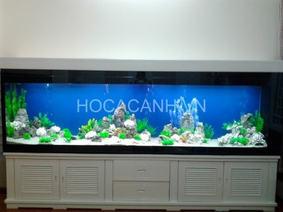 Bể thủy sinh với vật liệu trang trí nhân tạo
