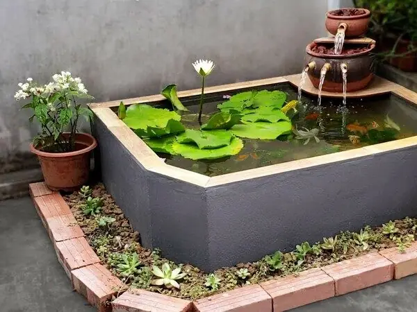 Hướng Dẫn Chi Tiết Xây Dựng và Chăm Sóc Bể Xi Măng Nuôi Cá Cảnh Toàn Diện