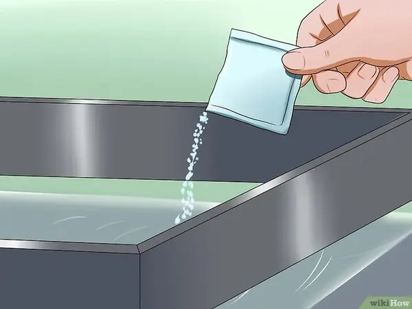 Bệnh nấm cá cảnh: Nguyên nhân, triệu chứng và cách điều trị hiệu quả