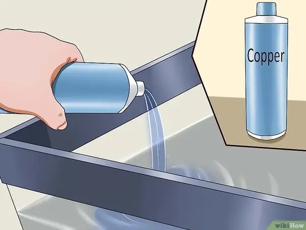 Bệnh nấm cá cảnh: Nguyên nhân, triệu chứng và cách điều trị hiệu quả