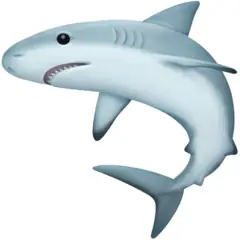 Giải Mã Biểu Tượng Cá Mập 🦈: Ý Nghĩa, Ứng Dụng & Các Loại Giải Mã Biểu Tượng Cá Mập 🦈: Ý Nghĩa, Ứng Dụng & Các Loại