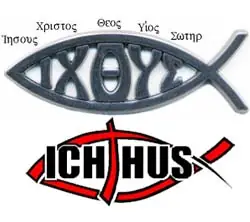 Biểu Tượng Con Cá: Ý Nghĩa Sâu Sắc Từ Văn Hóa Đến Thiên Nhiên Huyền Bí