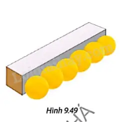 Bình Nuôi Cá Cảnh: Hướng Dẫn Toàn Diện Cho Người Mới