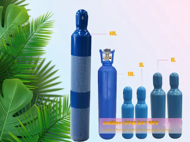 Hướng Dẫn Chọn Và Sử Dụng Bình Oxy Cho Hồ Cá Cảnh Hiệu Quả