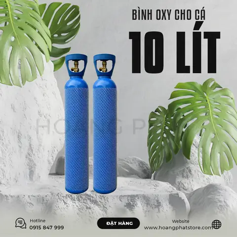 Hướng Dẫn Chọn Và Sử Dụng Bình Oxy Cho Hồ Cá Cảnh Hiệu Quả