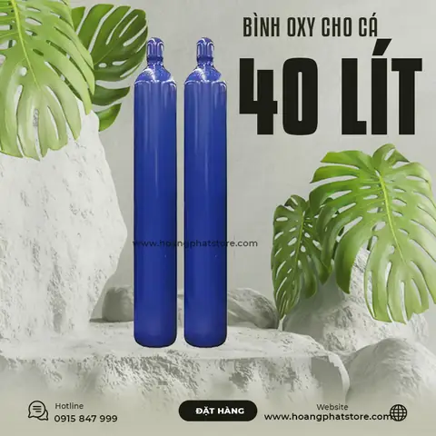 Hướng Dẫn Chọn Và Sử Dụng Bình Oxy Cho Hồ Cá Cảnh Hiệu Quả