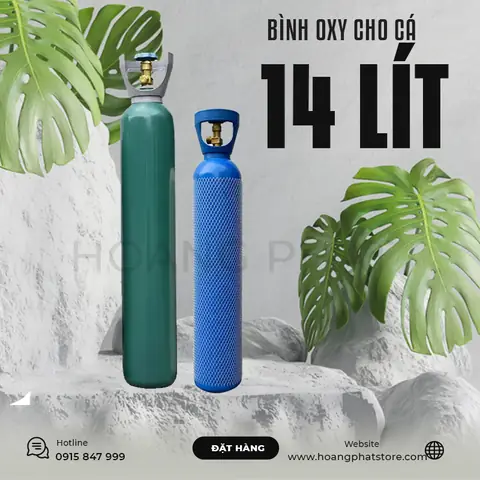 Hướng Dẫn Chọn Và Sử Dụng Bình Oxy Cho Hồ Cá Cảnh Hiệu Quả
