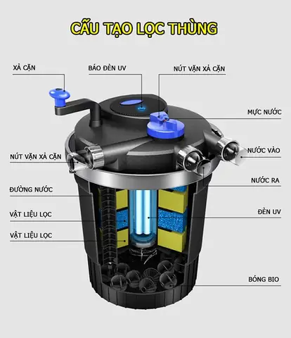 Chọn Bộ Lọc Bể Cá Koi Nào Tốt Nhất? Hướng Dẫn Chi Tiết A-Z