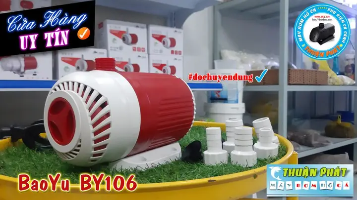 Bơm Bể Cá 5000l h: Chọn Đúng Loại, Đảm Bảo Hồ Cá Sạch Khoẻ