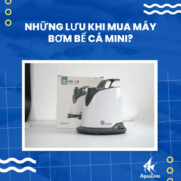 bơm bể cá mini