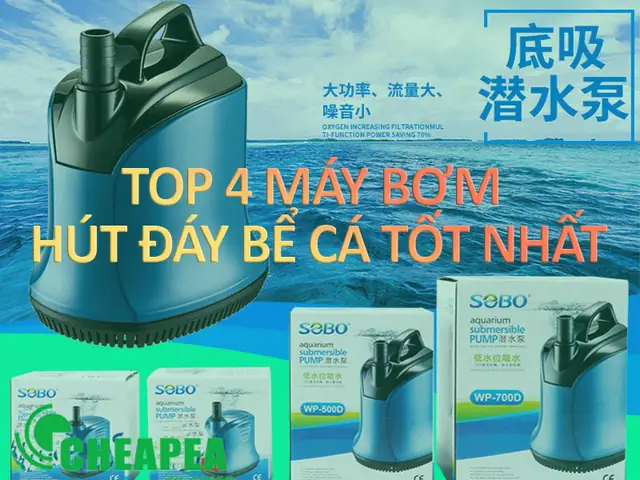 bơm hút đáy bể cá