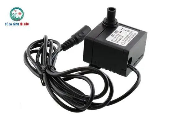 Bơm Lọc Nước Bể Cá Cảnh: Vai Trò Và Hướng Dẫn Chọn