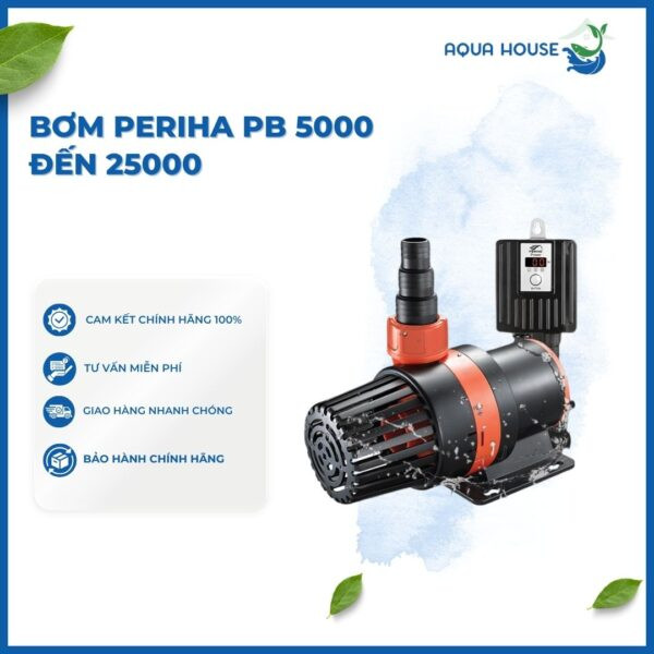 Bơm nước chất lượng cao đảm bảo lưu thông nước, tốt cho rong hồ cá cảnh và cá
