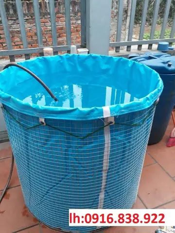 Bồn Bạt Nuôi Cá: Hướng Dẫn Toàn Diện Từ Chọn Lựa Đến Lắp Đặt Hiệu Quả