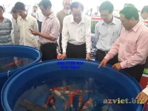 Hướng Dẫn Chọn Và Sử Dụng Bồn Nhựa Tròn Nuôi Cá Hiệu Quả