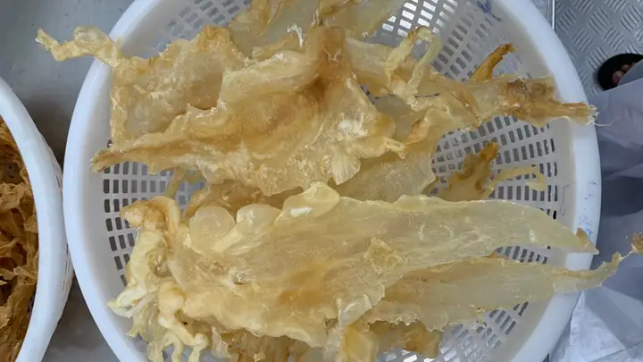 6Cách chọn mua bong bóng cá