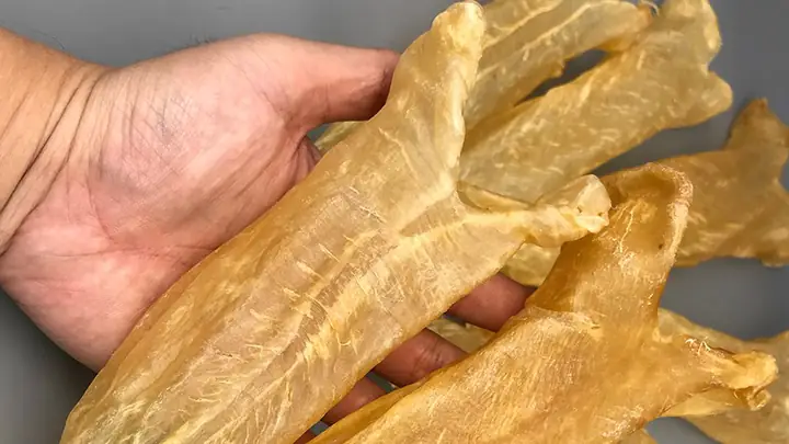 5Lưu ý khi dùng bong bóng cá