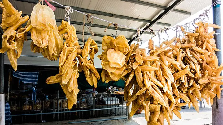 7Bong bóng cá giá bao nhiêu, mua ở đâu?