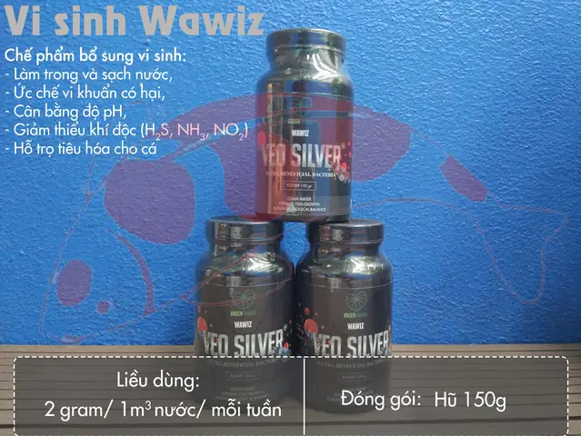 Bọt Khí Trong Hồ Cá: Dấu Hiệu, Nguyên Nhân Và Cách Xử Lý Hiệu Quả