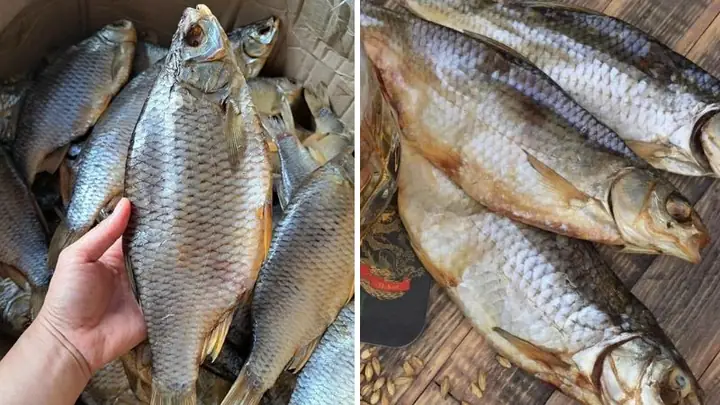 Cá Astrakhan Là Cá Gì? Giải Mã Loài Cá Độc Đáo Này
