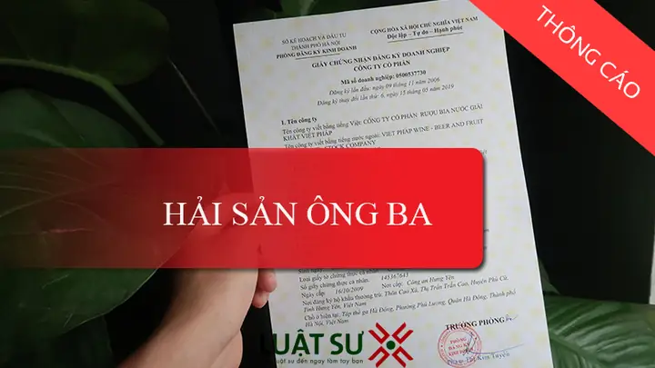 Cá Ba Chỉ Vàng: Đặc Điểm, Môi Trường Sống và Cách Chăm Sóc
