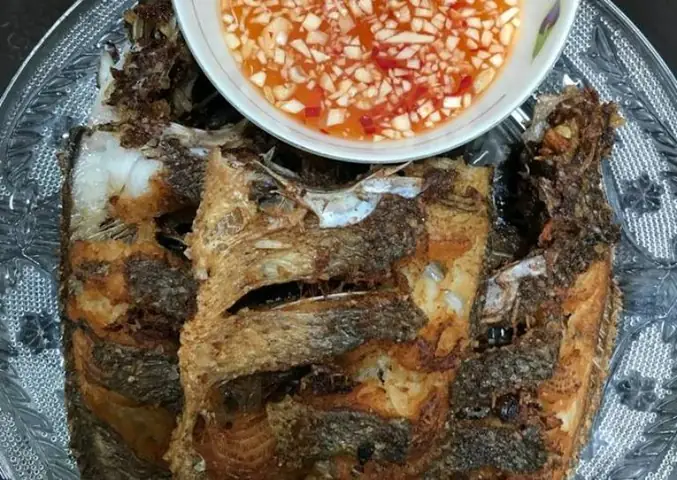 Cá Bã Trầu Ăn Gì? Hướng Dẫn Chế Độ Dinh Dưỡng Toàn Diện