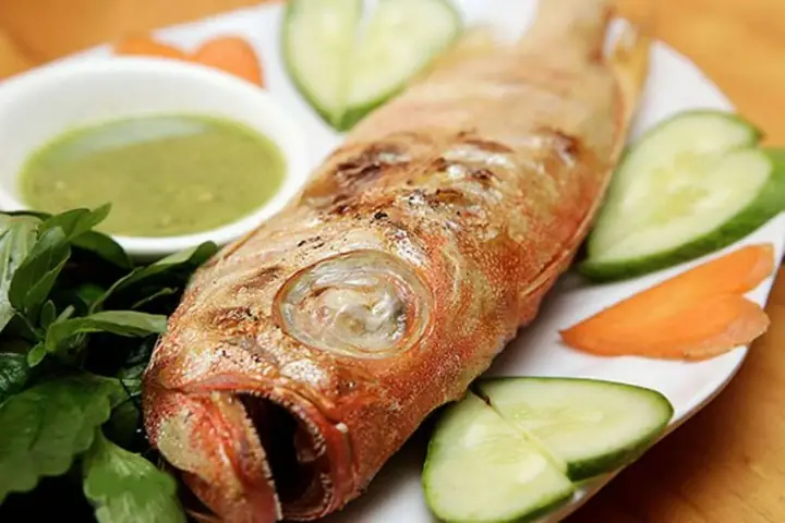 Cá Bã Trầu Ăn Gì? Hướng Dẫn Chế Độ Dinh Dưỡng Toàn Diện