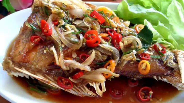 Cá Bã Trầu Ăn Gì? Hướng Dẫn Chế Độ Dinh Dưỡng Toàn Diện
